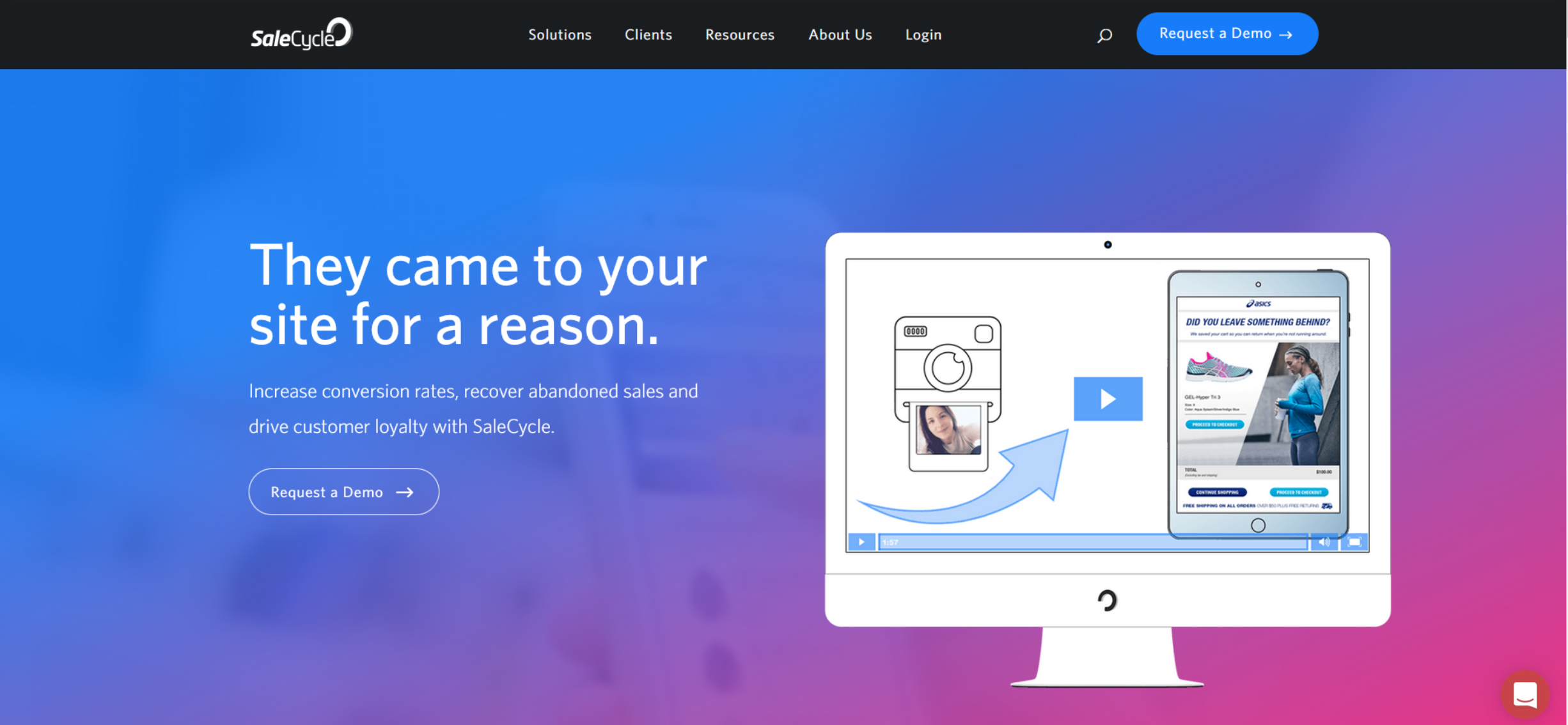 SaleCycle in 2019, before site redesign